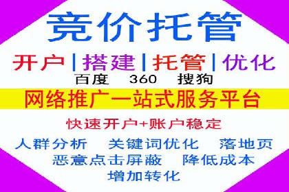 案例研究：关键词推广费用与ROI的关系